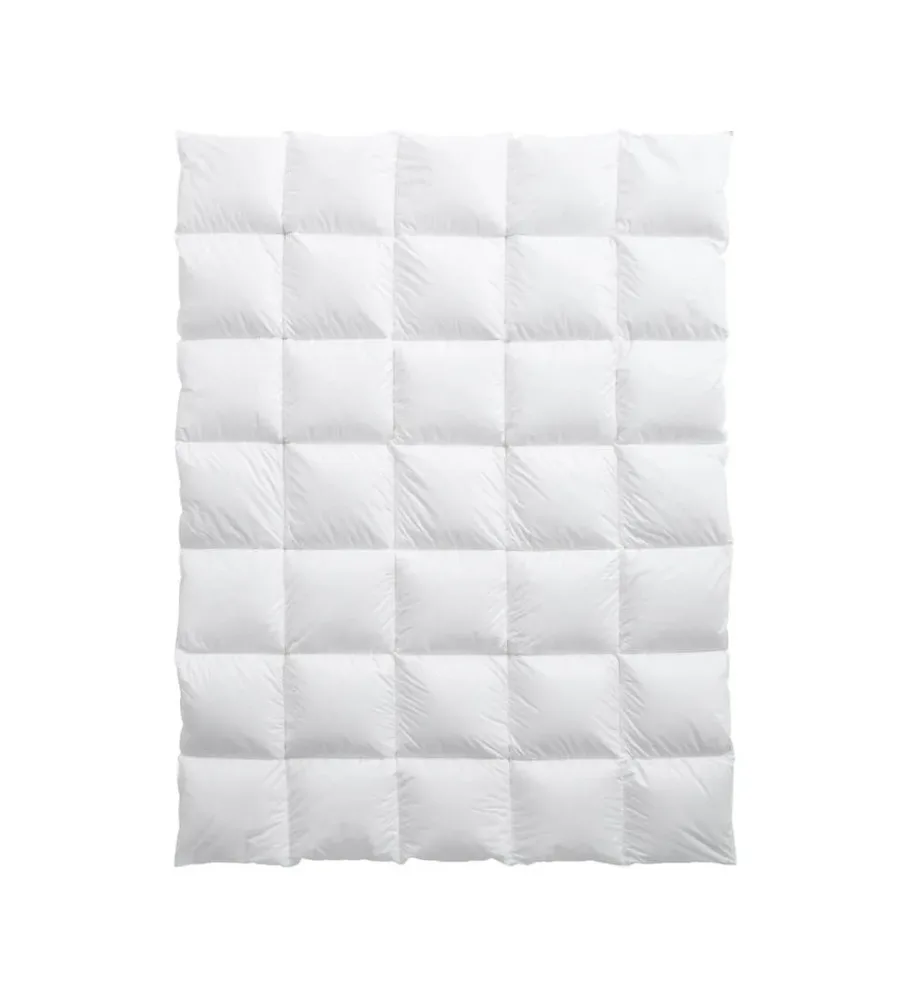 Billerbeck Edition Hayo Medium 160x210cm Daunenduvet