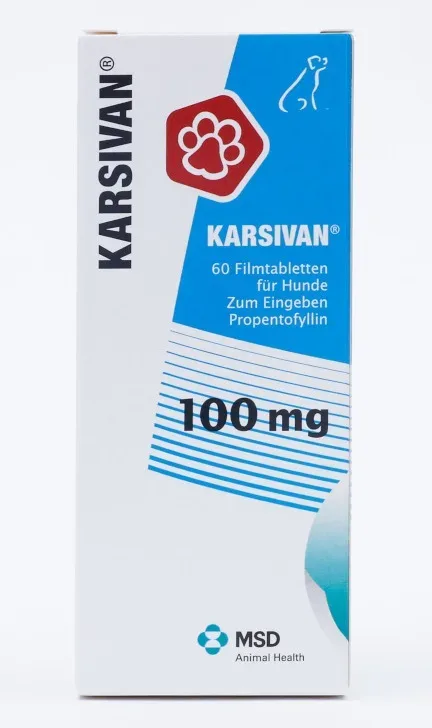 KARSIVAN 100mg  60 St Filmtabletten