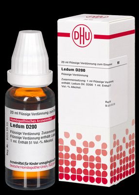 LEDUM D 200 Dilution 20 ml Dilution