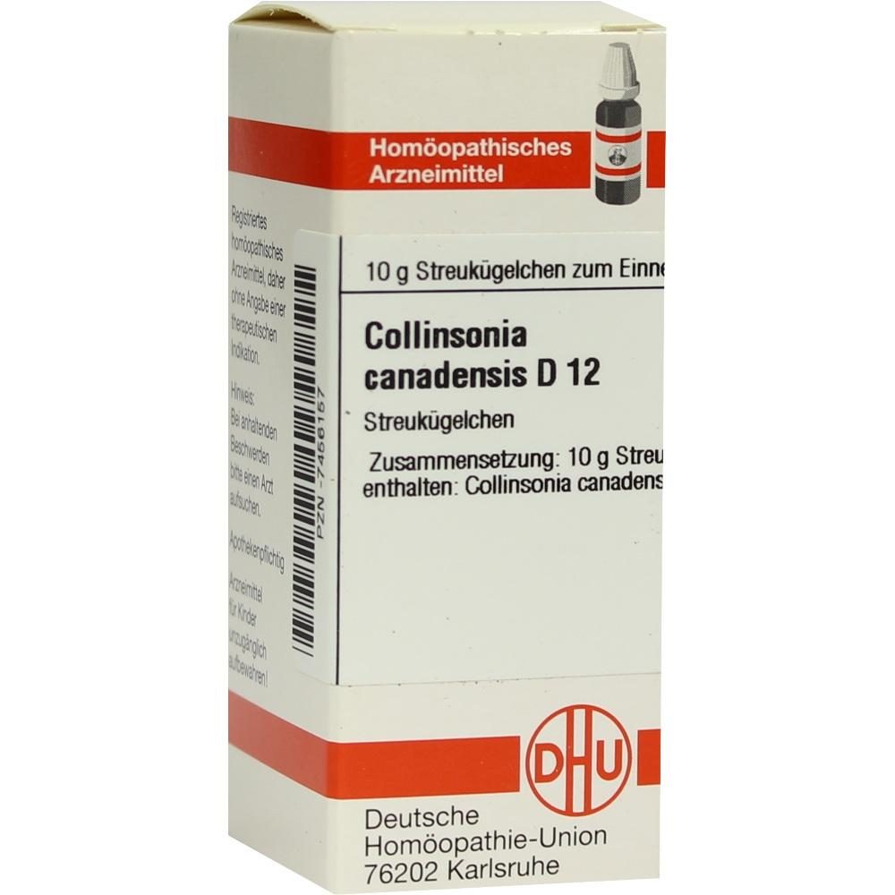 COLLINSONIA CANADENSIS D 12 Globuli 10 g Globuli