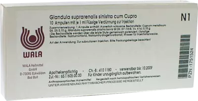 Glandula suprarenalis sinistra cum Cupro Ampullen 10X1 ml Ampullen