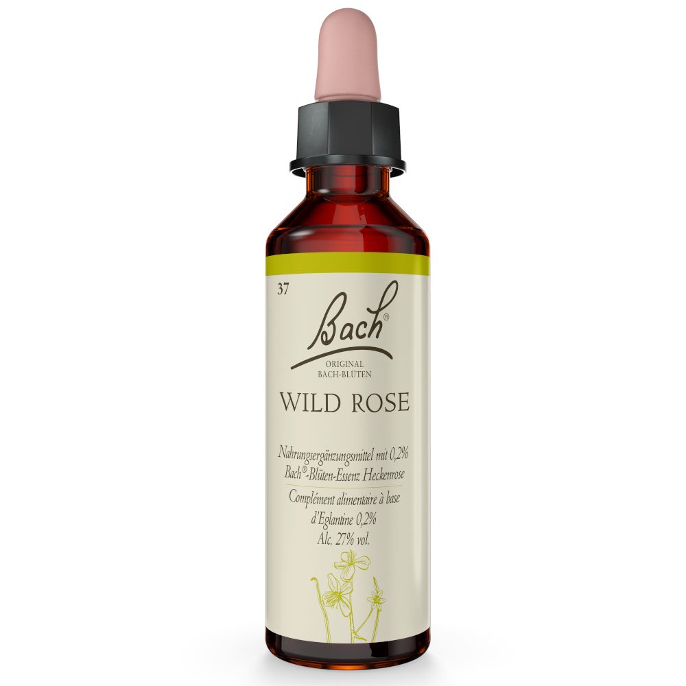 BACHBLÜTEN Original Wild Rose Nr.37 20 ml Tropfen