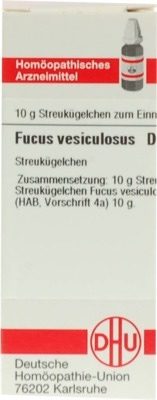 FUCUS VESICULOSUS D 2 Globuli 10 g Globuli