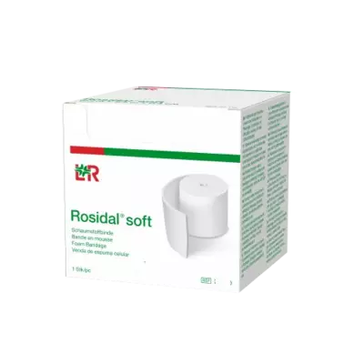 ROSIDAL Soft Binde 10x0,4 cmx2,5 m 1 St Binden