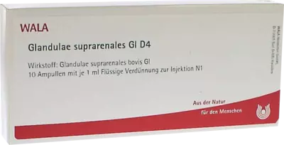 Glandulae suprarenales Gl D4 Ampullen 10X1 ml Ampullen