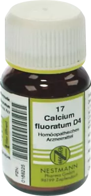 CALCIUM FLUORATUM KOMPLEX Nr.17 Tabletten 120 St Tabletten