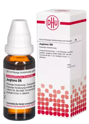 JUGLANS D 6 Dilution 20 ml Dilution