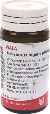 Helleborus niger e planta tota D6 Globuli 20 g Globuli