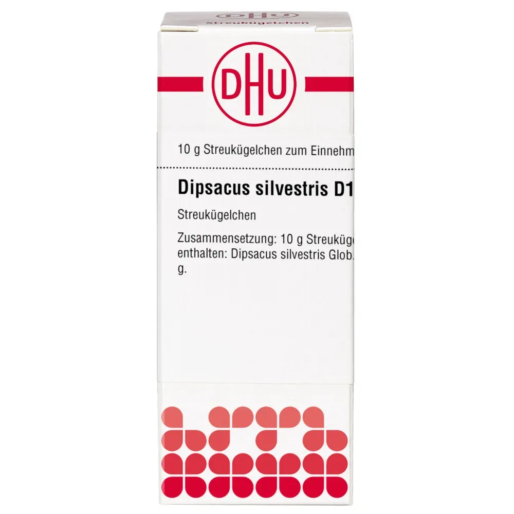 Dipsacus silvestris D12 10 g Globuli