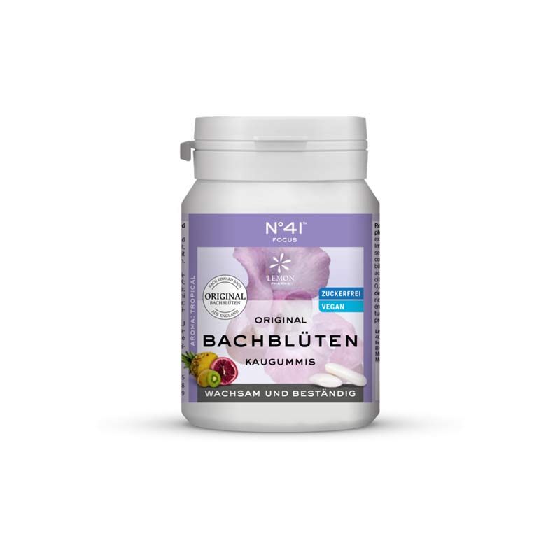 ORIGINAL BACHBLÜTEN KAUGUMMI No 41 FOCUS 40 St Kaugummi