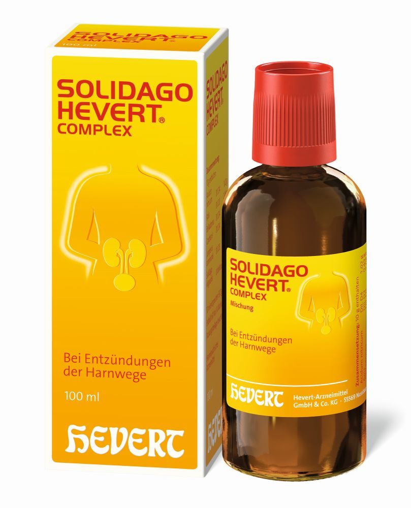 SOLIDAGO HEVERT Complex Tropfen 100 ml Tropfen