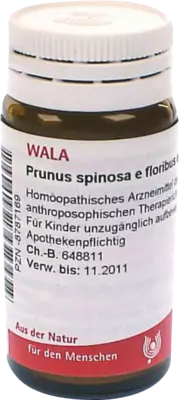 Prunus spinosa e floribus et summitatibus D3 Globuli 20 g Globuli