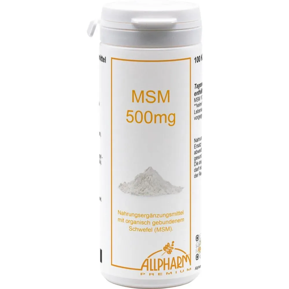MSM KAPSELN 500 mg 100 St Kapseln
