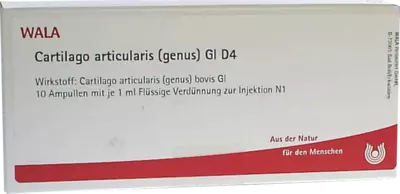Cartilago articularis genus GL D4 10X1 ml Ampullen