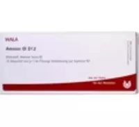 Amnion Gl D12 Ampullen 10X1 ml Ampullen