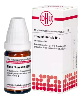 THEA CHINENSIS D 12 Globuli 10 g Globuli