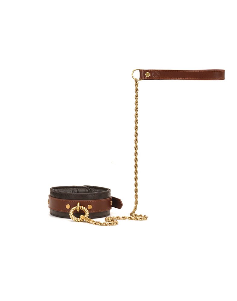 Lederhalsband mit Leine - Schwarz, Braun & Gold