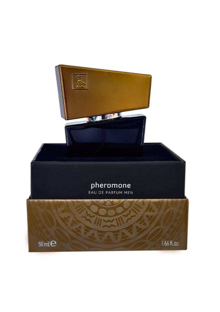 Shiatsu Pheromone Men 50 ml Grey