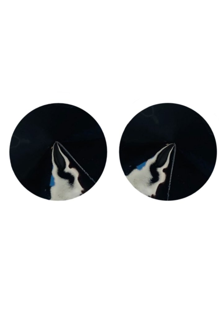 Nipple Covers Gloss Black