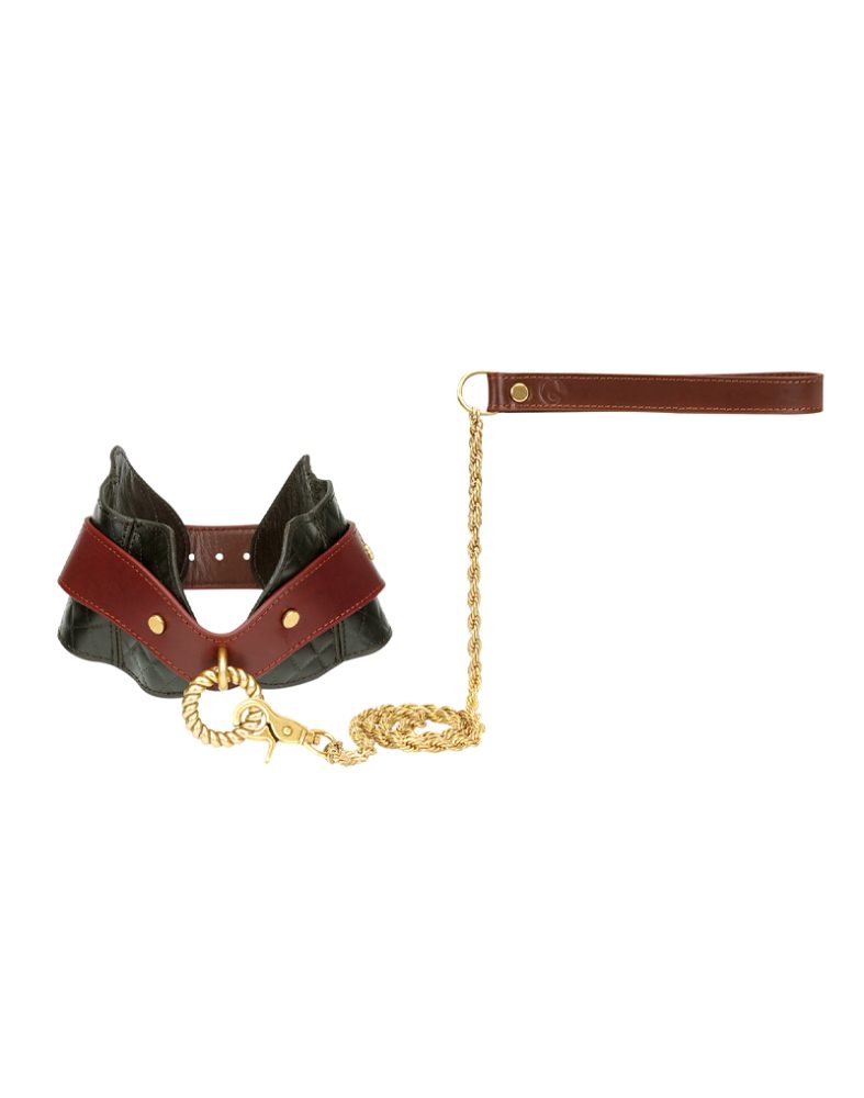 Haltungshalsband aus Leder mit Leine - Schwarz, Braun & Gold