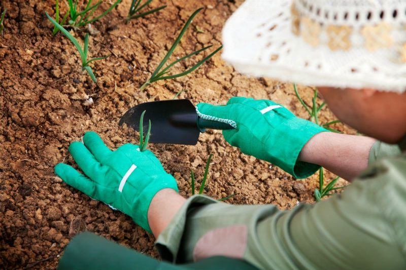 Gartenhandschuhe