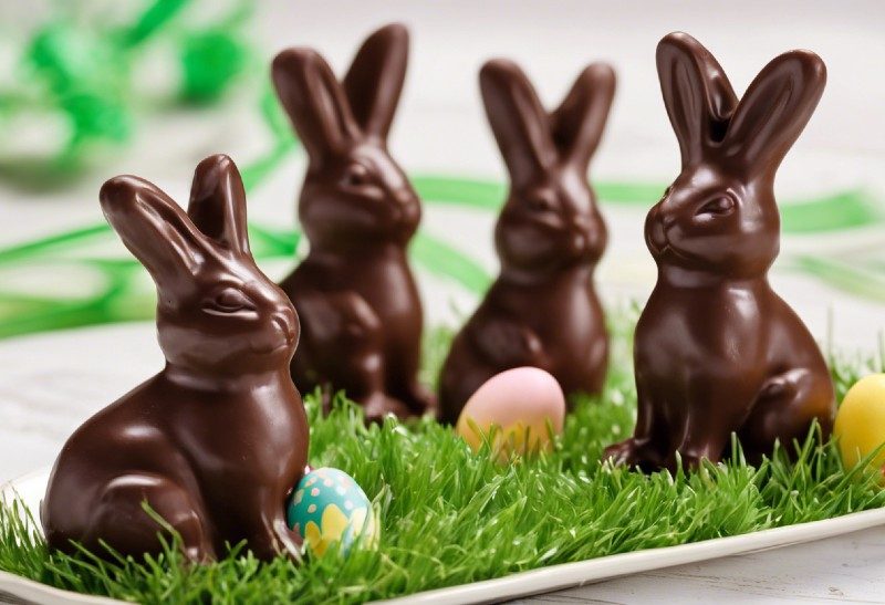 Schokoladen Osterhasen