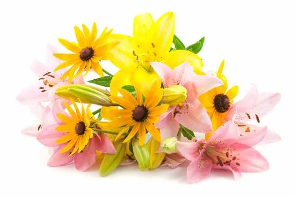 Blumen-Onlineshops Blumenversanddienste Test