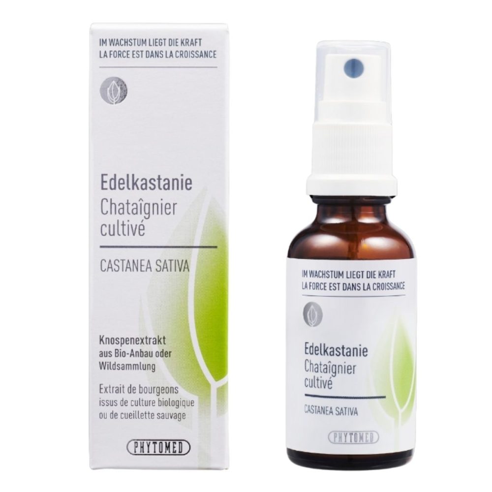 Phytomed Knospenextrakt Edelkastanie 30 ml