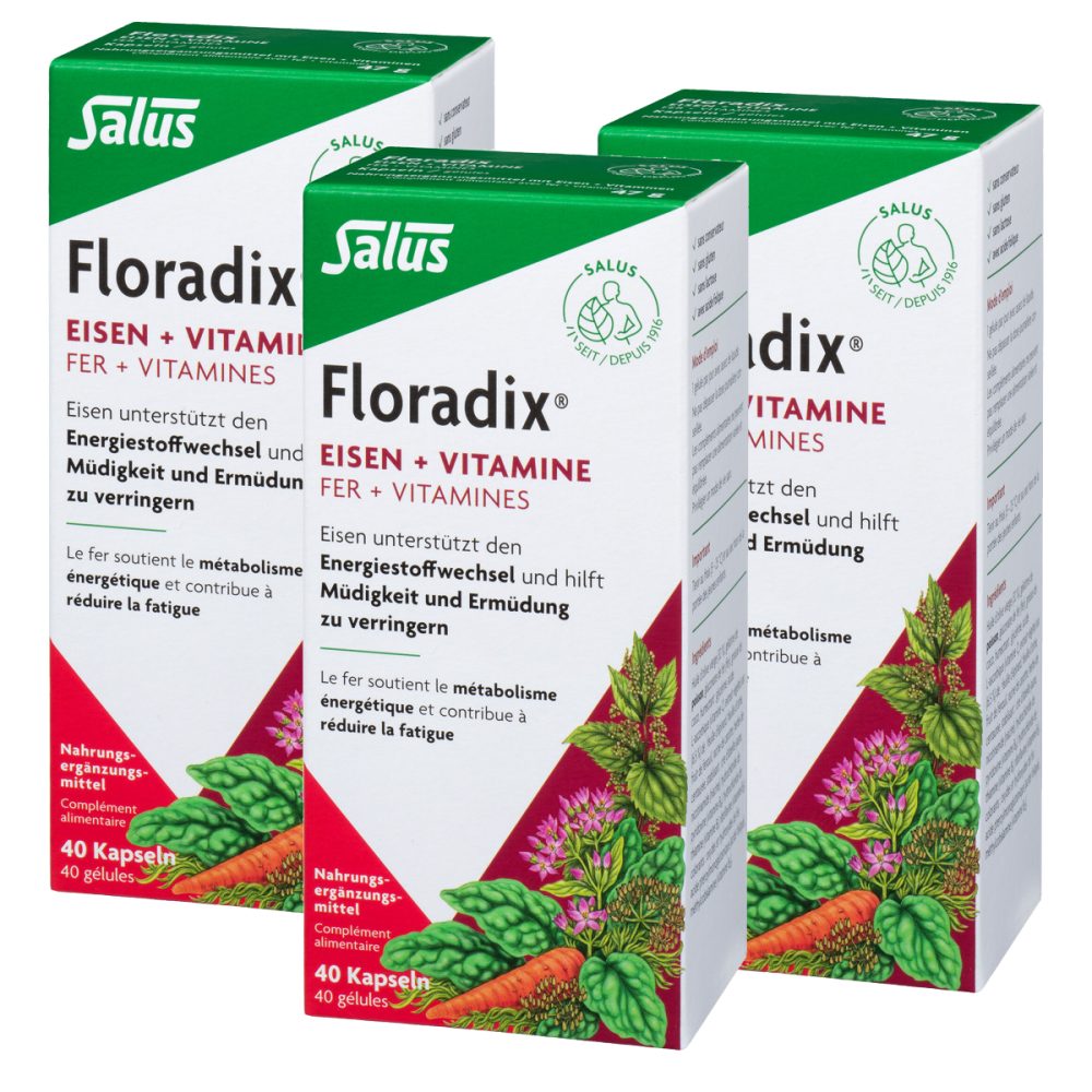 Floradix Eisen + Vitamine Kapseln 3 x 40 Stück