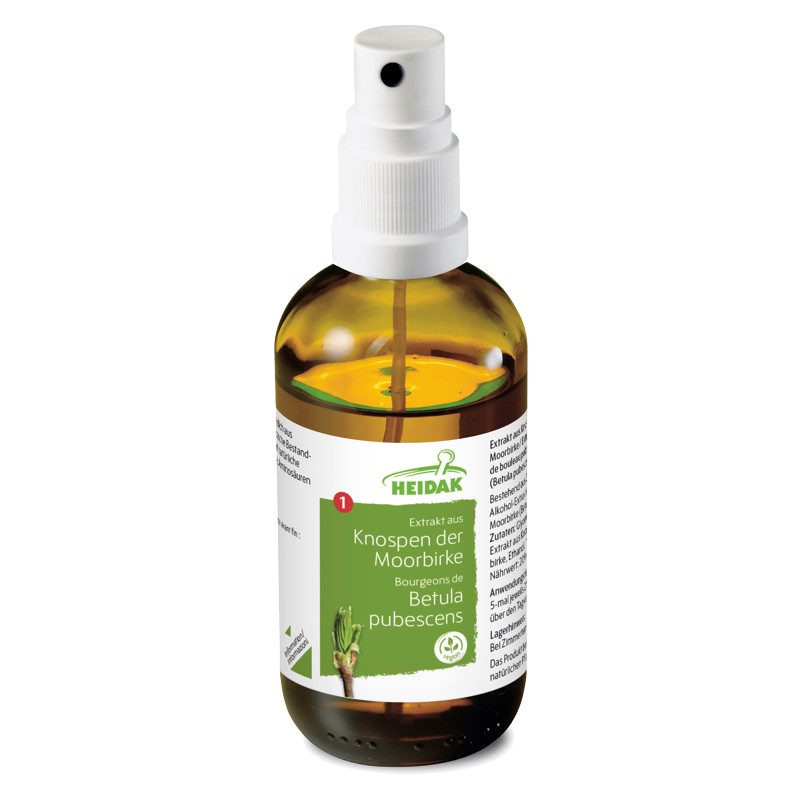 Heidak Knospe Moorbirke Betula pubescens Flasche 30 ml