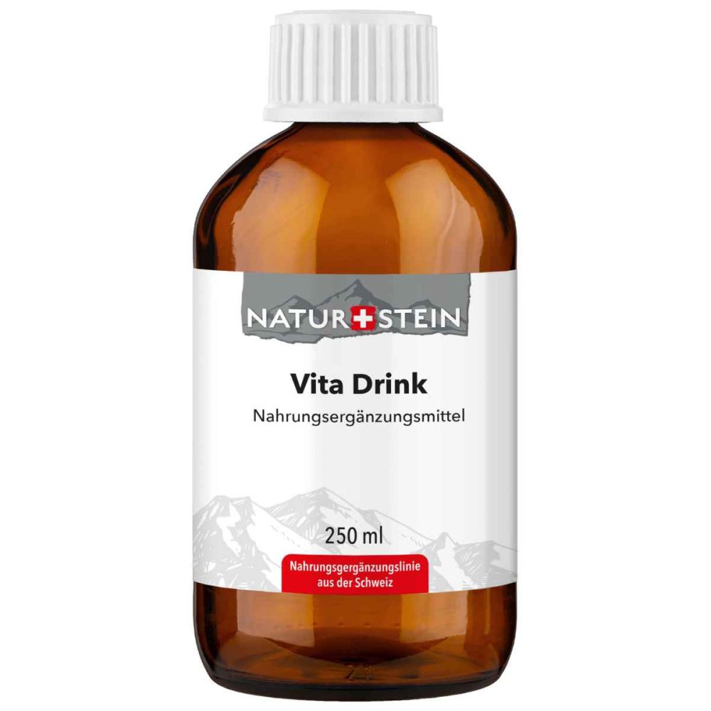 Naturstein Vita Drink Glasflasche 250 ml