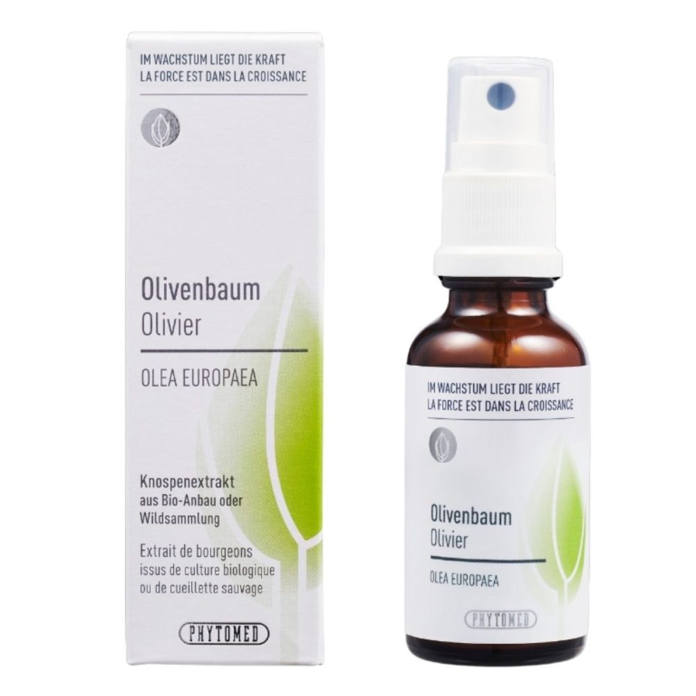 Phytomed Knospenextrakt Olivenbaum 30 ml