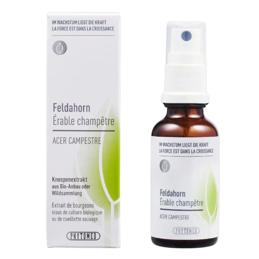 Phytomed Knospenextrakt Feldahorn 30 ml