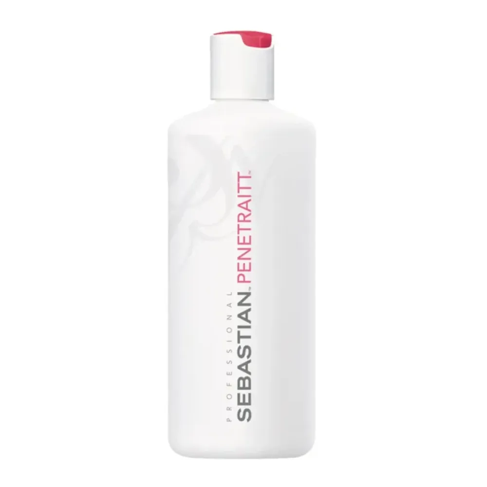 Sebastian Foundation Penetraitt Masque 500ml