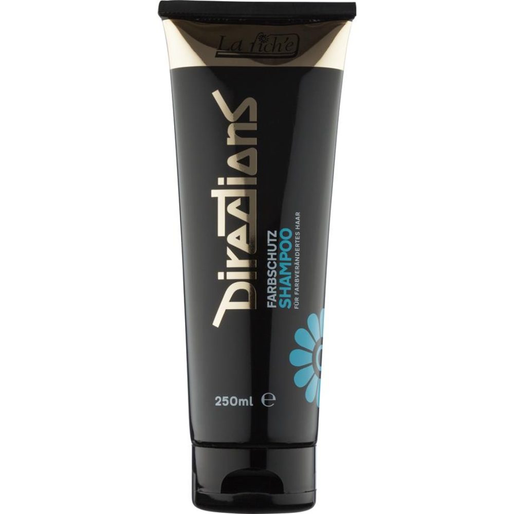 La rich'e Directions Farbschutz Shampoo