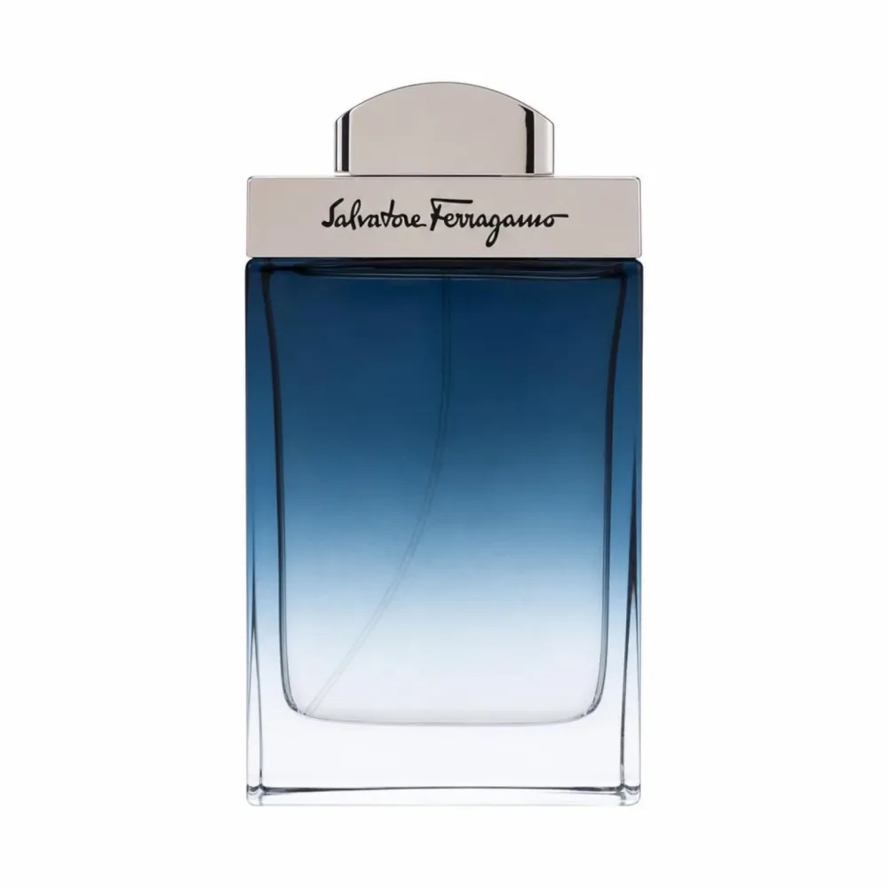 Salvatore Ferragamo Subtil Pour Homme Eau de Toilette 100ml