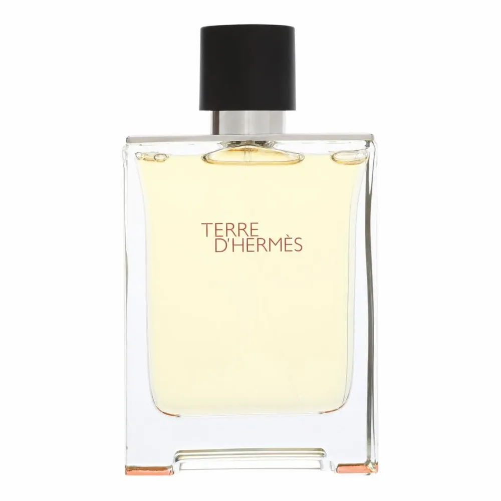 Hermes Terre D' Eau De Toilette Spray 100 ml