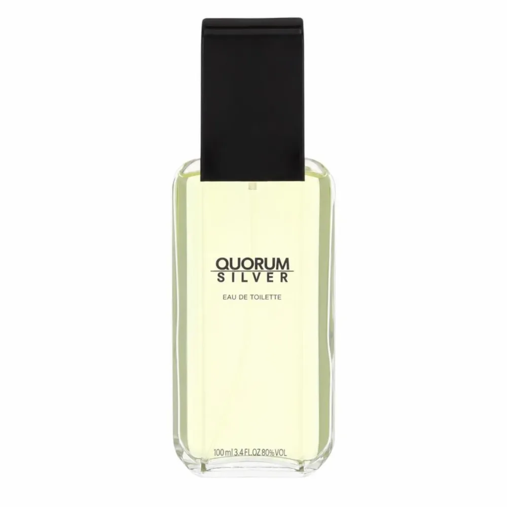Quorum Silver by Puig Eau de Toilette Spray 100 ml