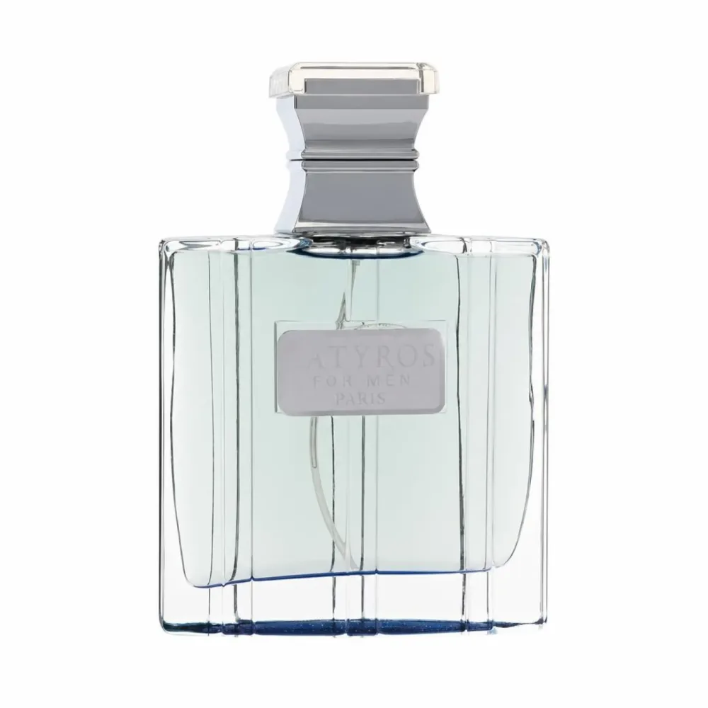 Satyros Endurance by YZY Perfume Eau de Parfum Spray 100 ml