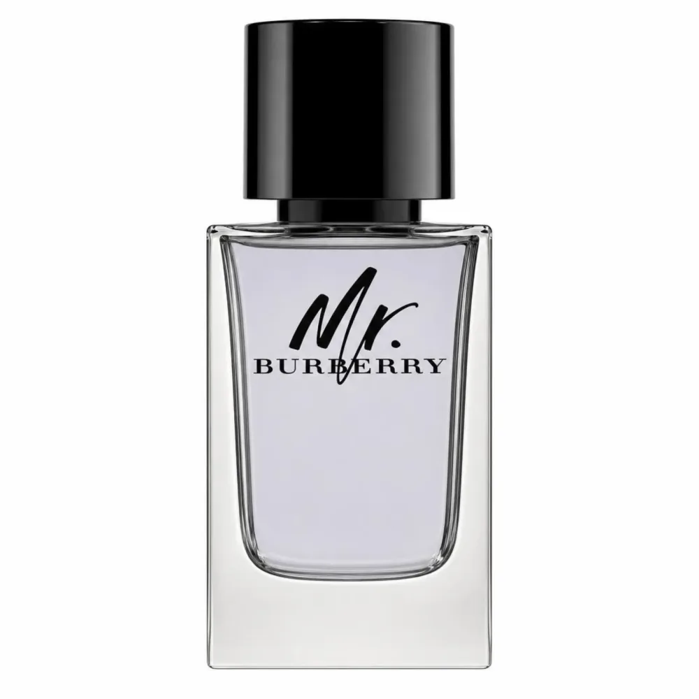 Burberry Mr  Eau De Toilette Spray 100 ml