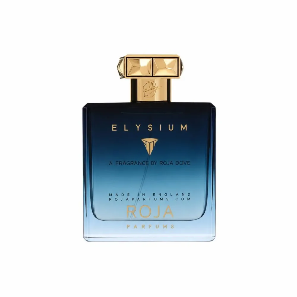 Roja Elysium Pour Homme by Roja Parfums Extrait De Parfum Spray 100 ml
