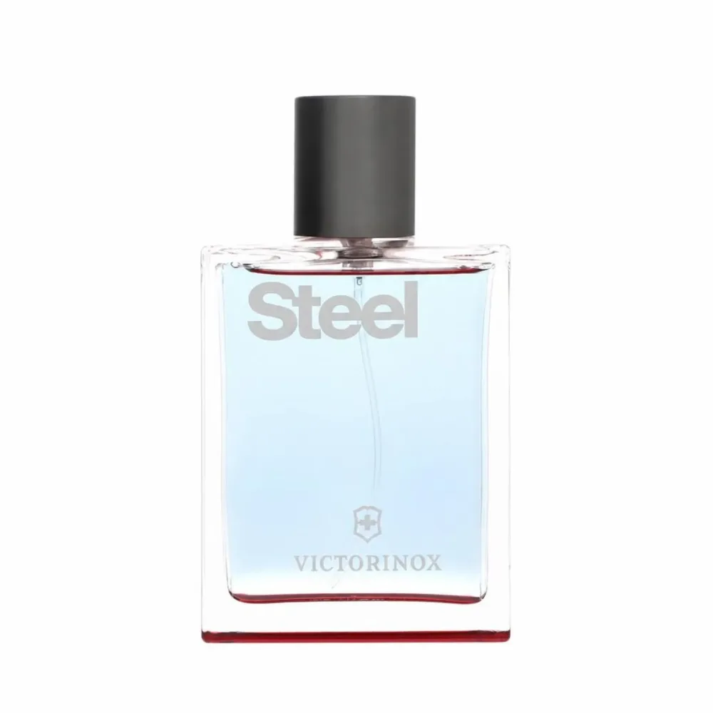 Victorinox Steel Eau de Toilette 100ml