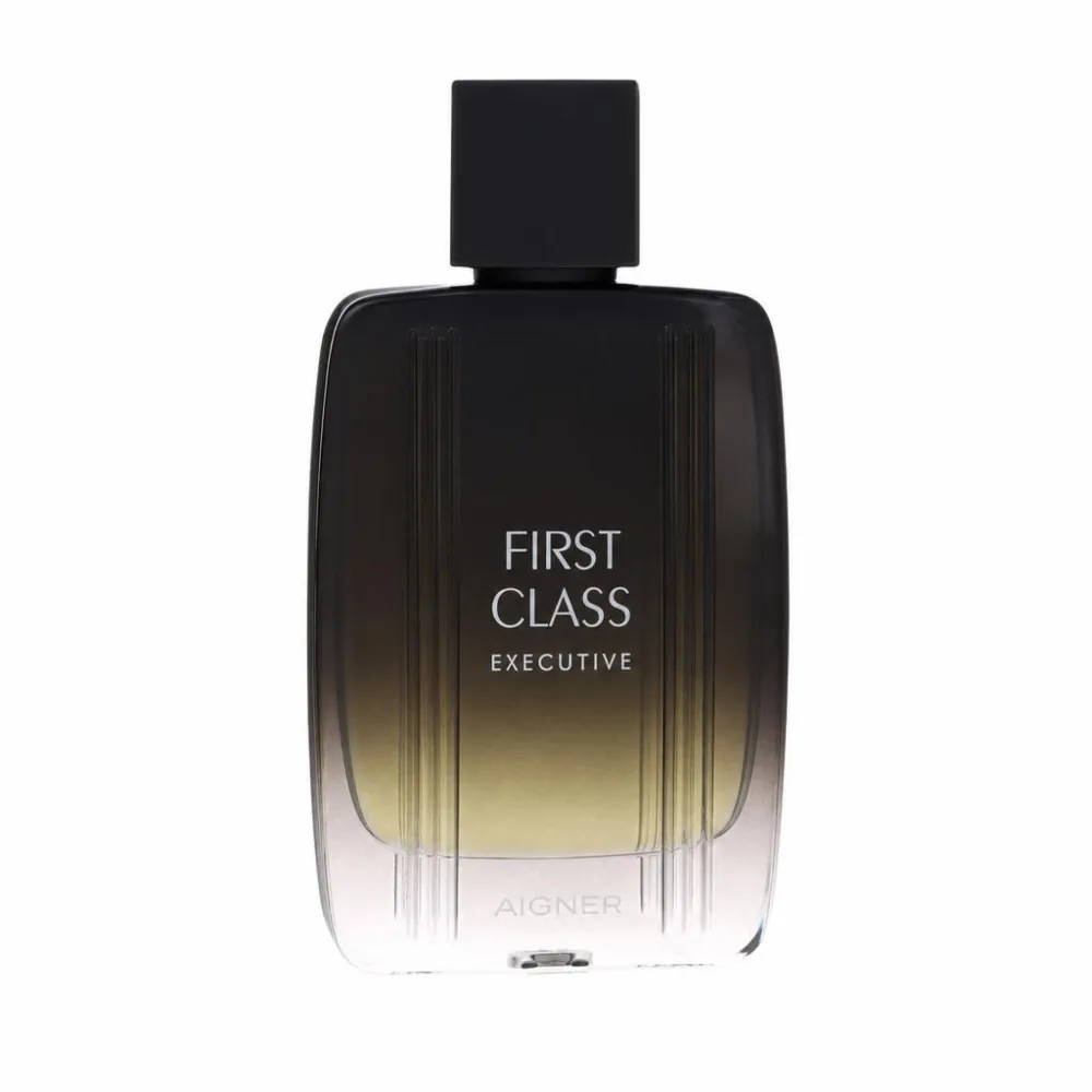 Aigner First Class Executive by Etienne Aigner Eau de Toilette Spray 100 ml