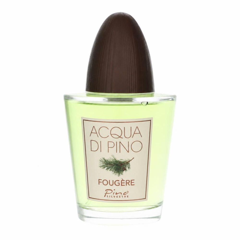Acqua Di Pino Fougere by Pino Silvestre Eau de Cologne Concentree Spray 125 ml