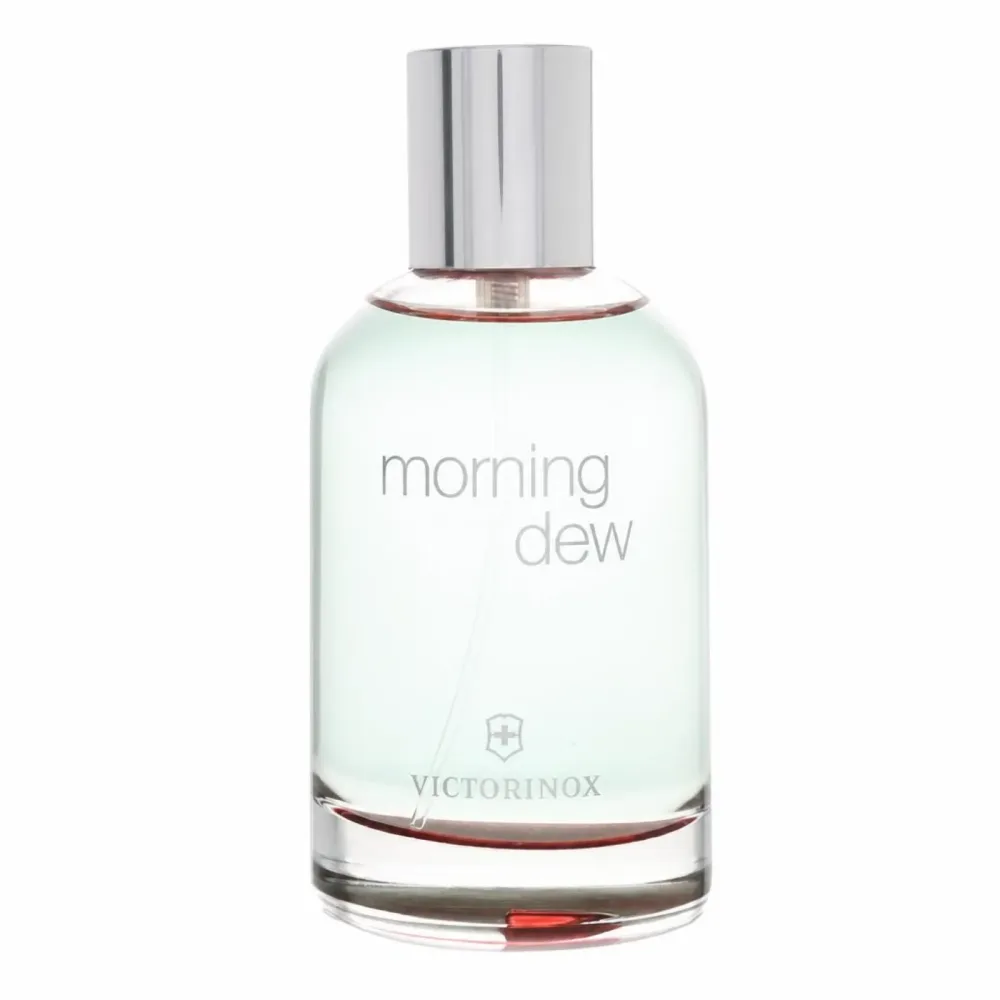 Victorinox Swiss Army Morning Dew Eau De Toilette Spray 100 ml
