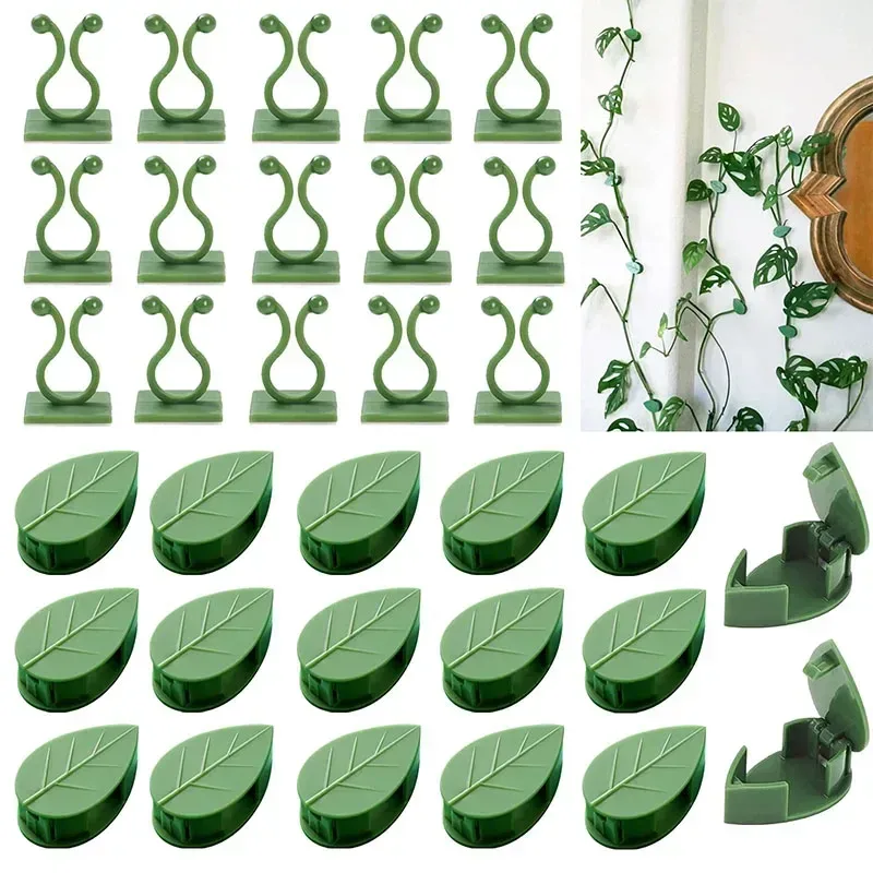 10/30/50Pcs Anlage Klettern Wand Halterung Clips Rattan Reben Fixer Selbst-Klebe Haken Unsichtbare Garten bindung Clip Wand StickyClip
