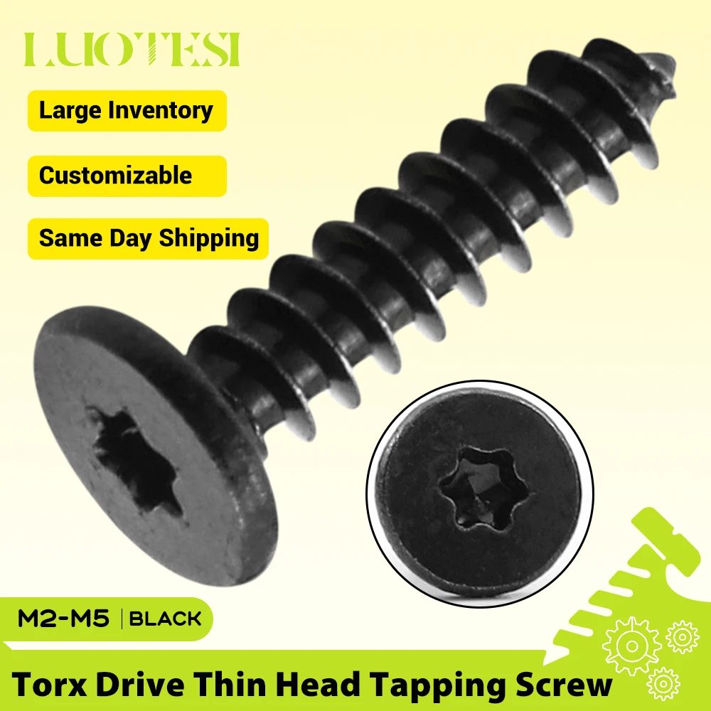 Torx Ultra-Dünne Flachkopf-Blechschrauben aus Schwarzem Edelstahl M2 M3 M4 mit Sechskant-Sternantrieb