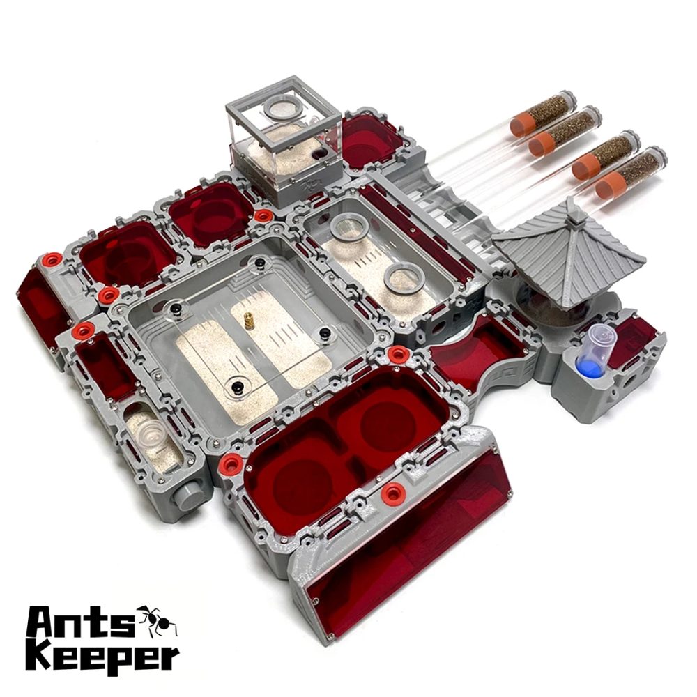 ?Lego?Erweiterbares Modulares Formicarium Ameisenfarm-Nest für Ameisenhalter ? Starter-Set für neue Königinnen, großes Ameisenbienen-Gehege mit Reagenzglas