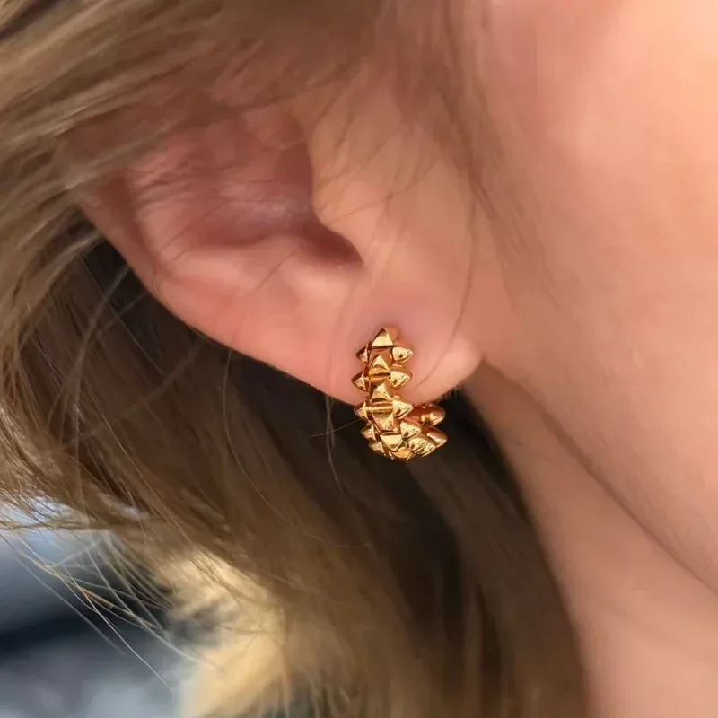 925 Silber Vergoldete Damen-Weidenblatt-Ohrringe Modischer Klassischer Luxuriöser Exquisiter Schmuck für Damen