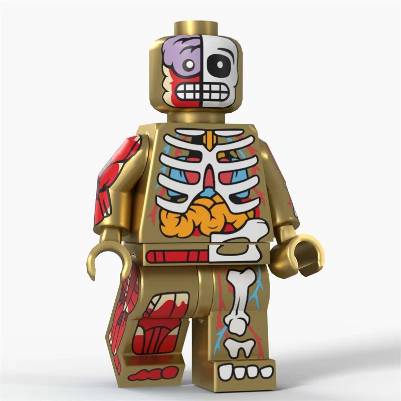 Cartoon Transparente Menschliche Anime-Muskel-Anatomie Skelett-Körper Actionfiguren Bausteine Spielzeug für Kinder Geschenke